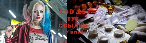 хмурый Няндома