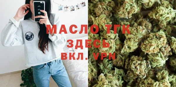 прущие грибы Новодвинск