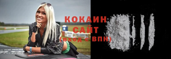 прущие грибы Новодвинск