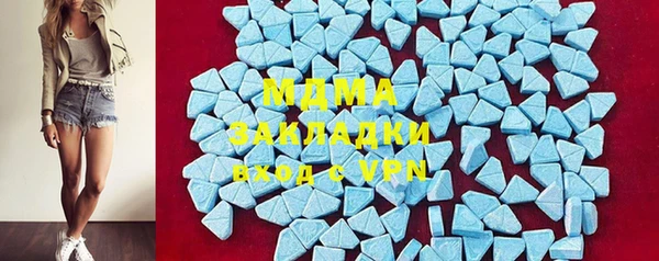 прущие грибы Новодвинск