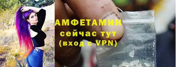 прущие грибы Новодвинск