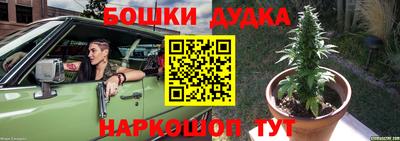 сатива Будённовск