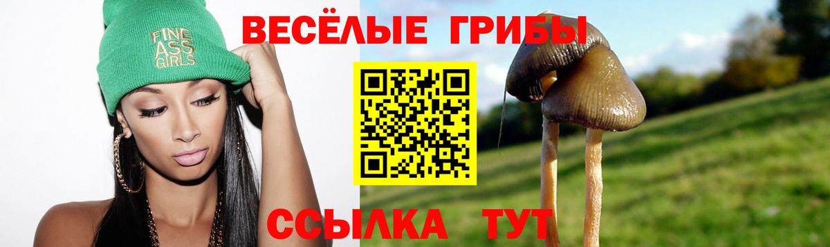 Галлюциногенные грибы Cubensis  даркнет сайт  Канск  Вход с VPN  Псилоцибиновые грибы Psilocybine cubensis 